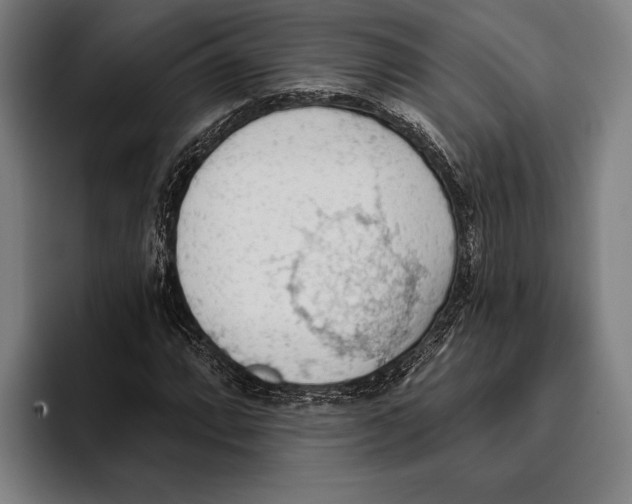 X0000093381064200711081540