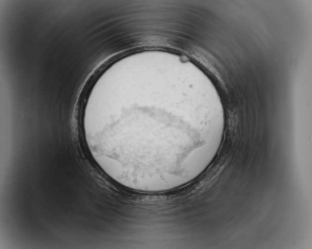 X0000093381068200711081540