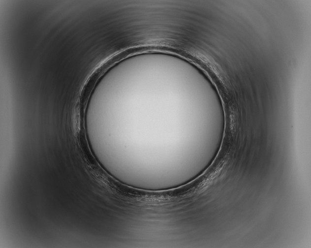 X0000093381069200711081540