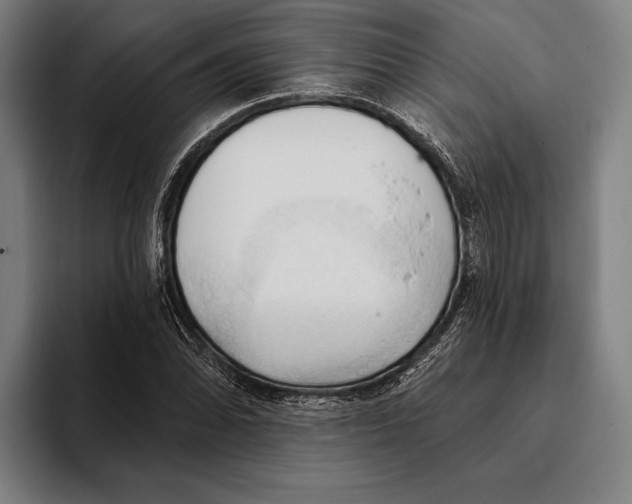 X0000093381070200711081540