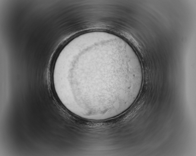 X0000093381072200711081540