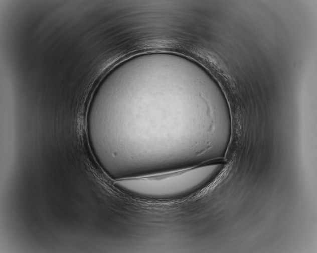 X0000093381073200711081540