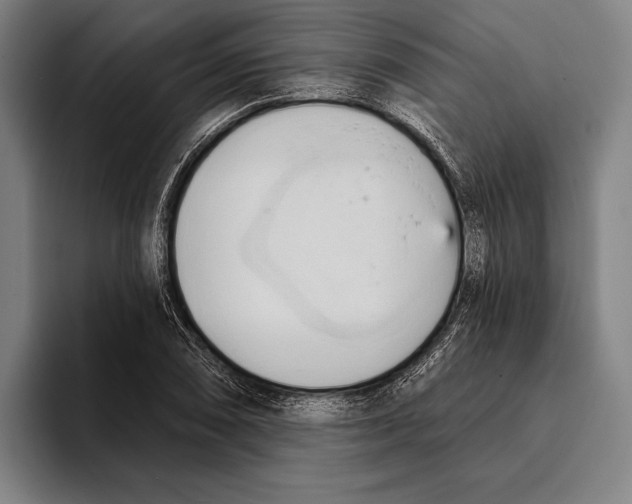 X0000093381074200711081540