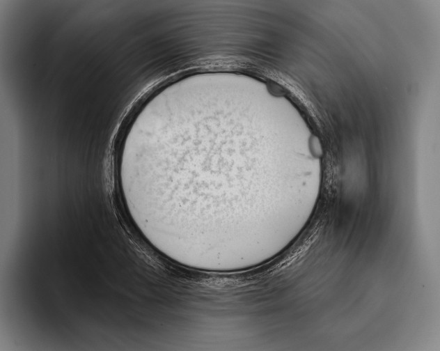 X0000093381075200711081540