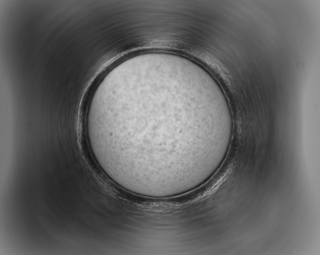 X0000093381077200711081540