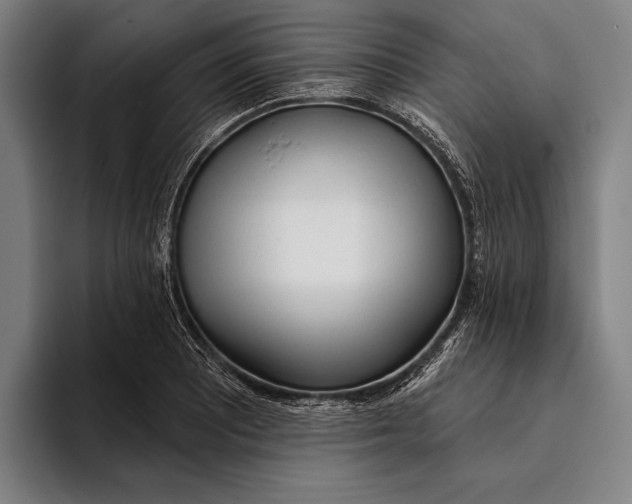 X0000093381081200711081540