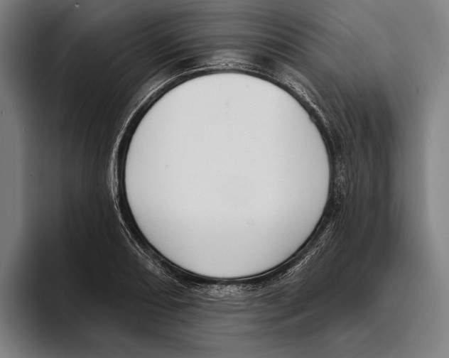 X0000093381082200711081540