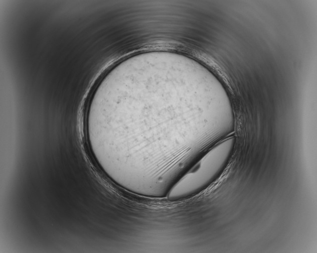 X0000093381083200711081540