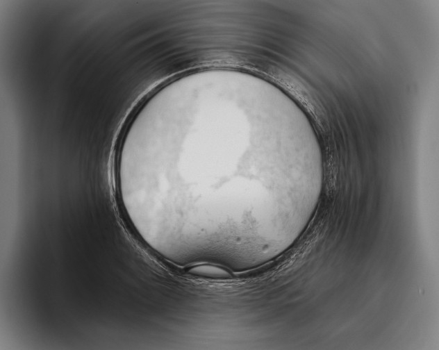 X0000093381084200711081540