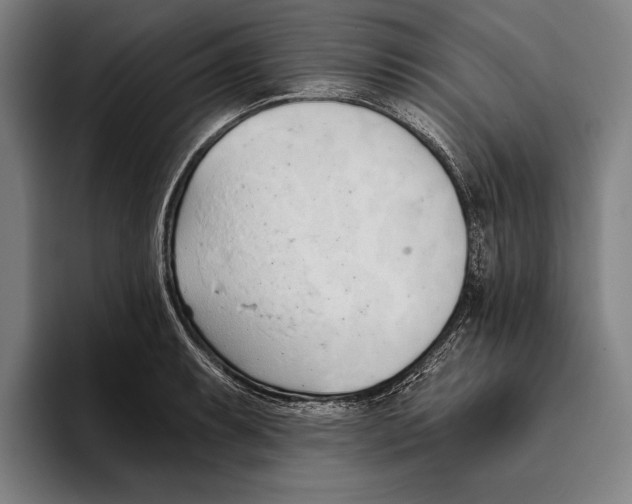 X0000093381087200711081540