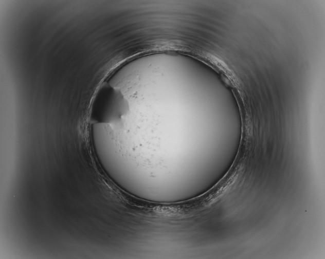 X0000093381089200711081540