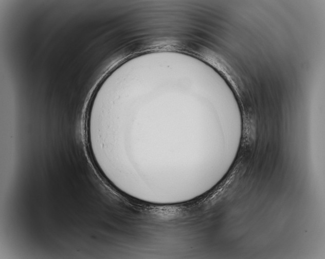 X0000093381090200711081540