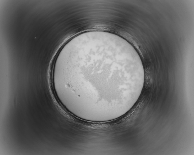 X0000093381091200711081540