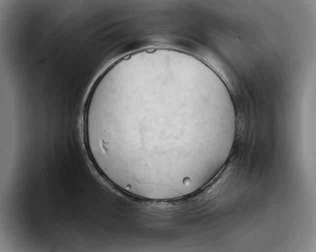 X0000093381100200711081540