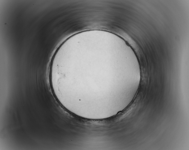 X0000093381102200711081540