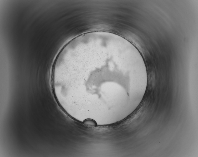 X0000093381103200711081540