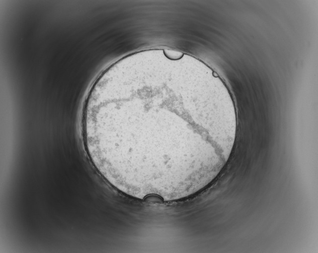 X0000093381104200711081540