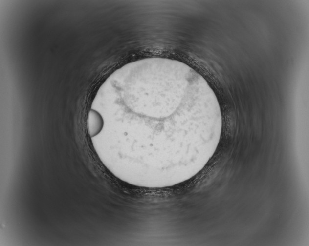 X0000093381105200711081539