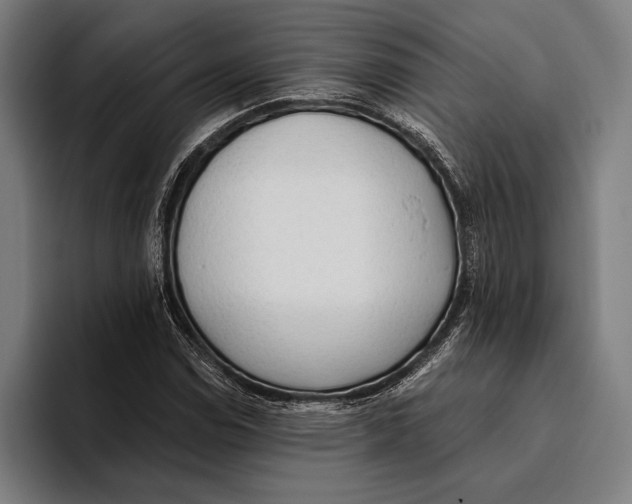 X0000093381114200711081539