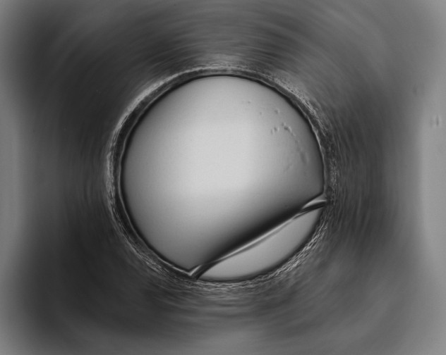 X0000093381120200711081539