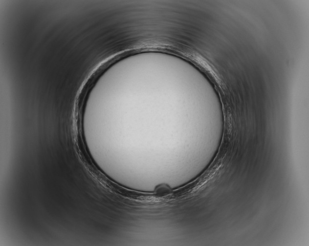 X0000093381124200711081539