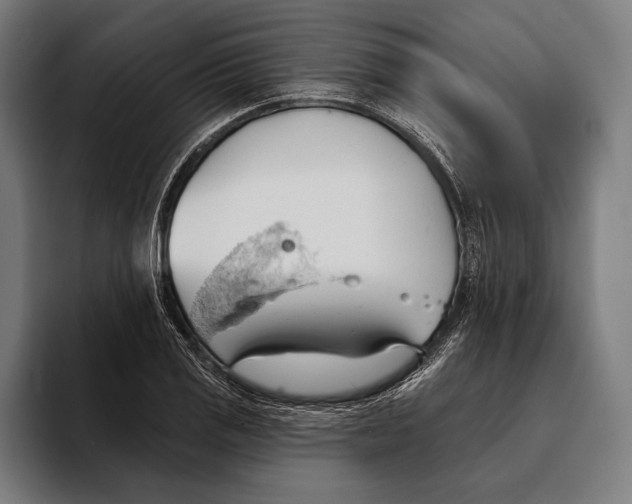 X0000093381125200711081539