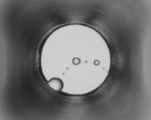 X0000093381126200711081539