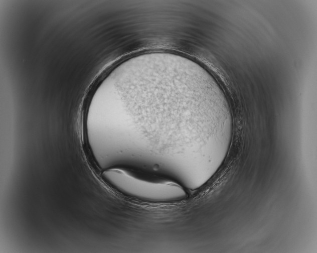 X0000093381127200711081539