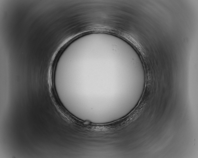 X0000093381128200711081539