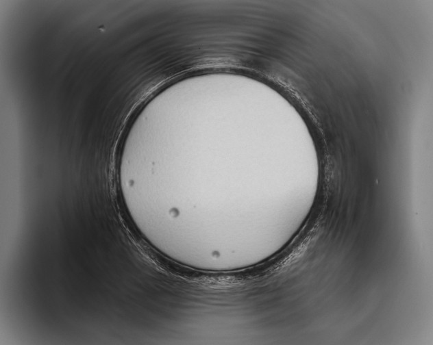 X0000093381129200711081539