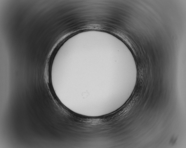 X0000093381131200711081539