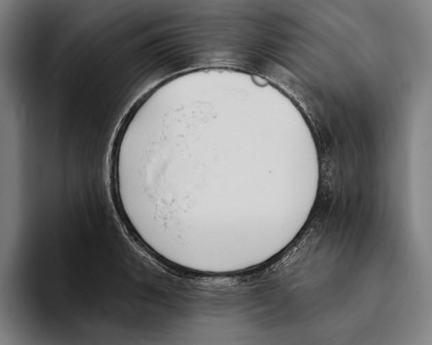 X0000093381135200711081539