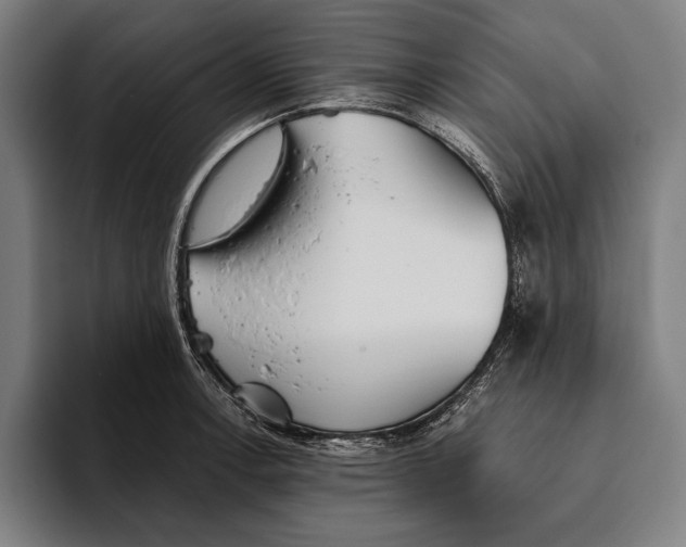 X0000093381138200711081539