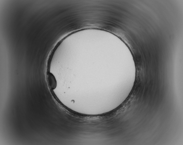 X0000093381143200711081540