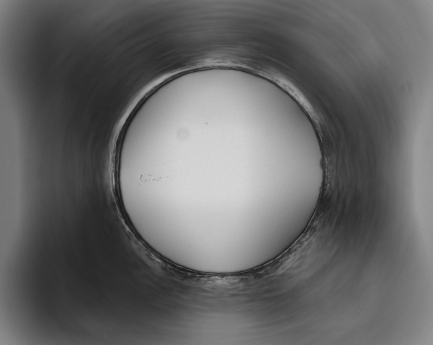 X0000093381148200711081540