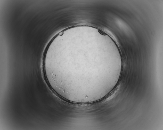 X0000093381149200711081540