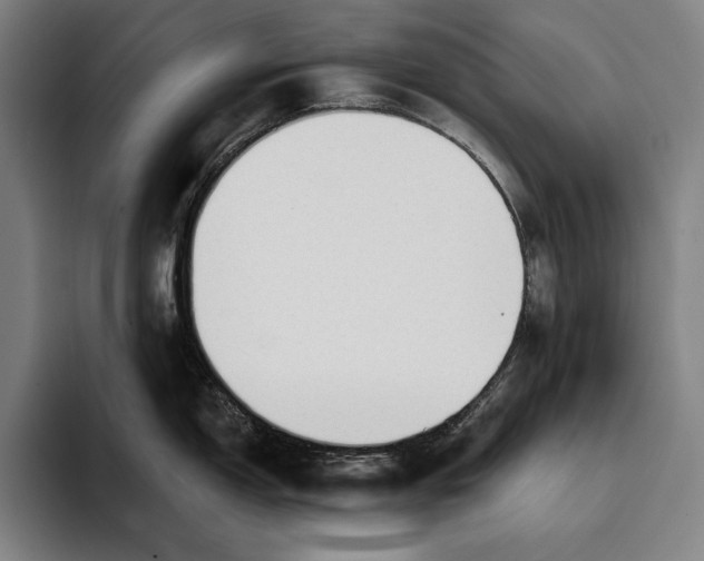 X0000093381150200711081540