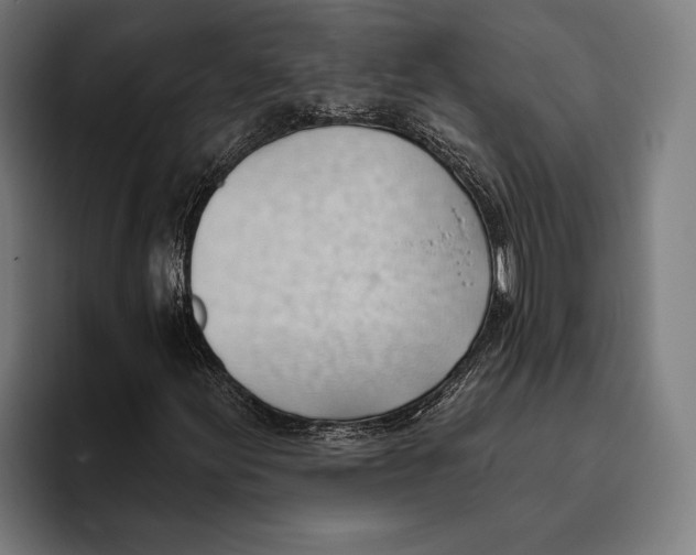 X0000093381155200711081539