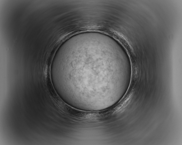 X0000093381161200711081539