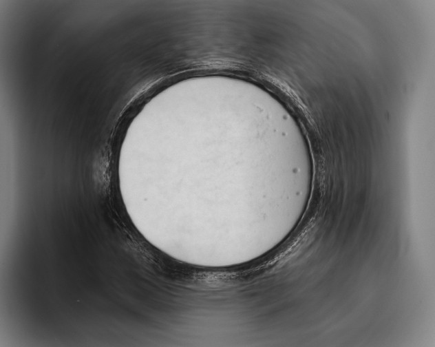 X0000093381163200711081539