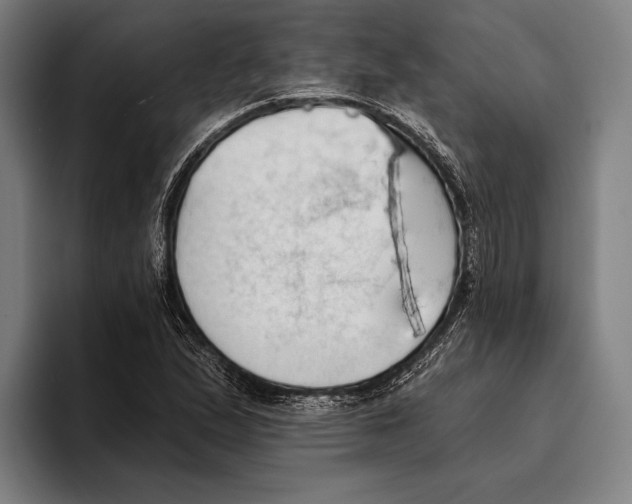 X0000093381167200711081539