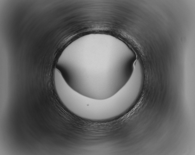 X0000093381169200711081539