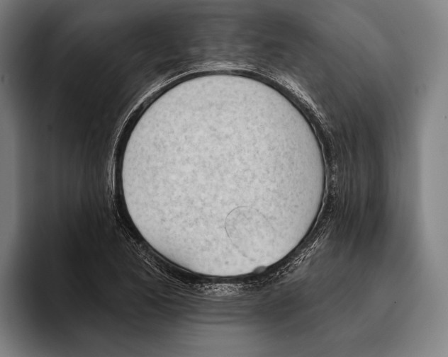 X0000093381173200711081539