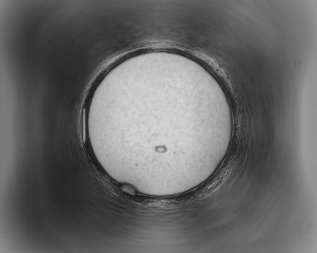 X0000093381175200711081539