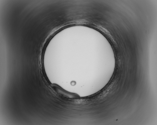 X0000093381176200711081539