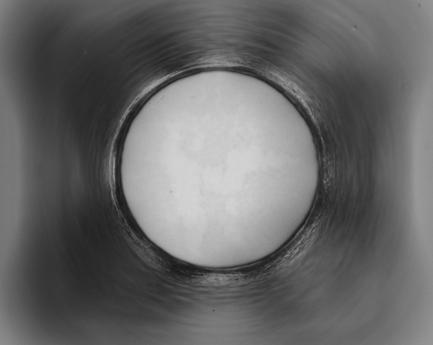 X0000093381179200711081539