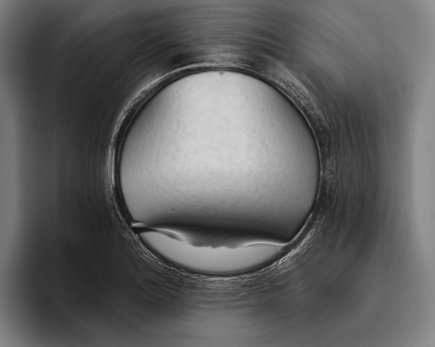 X0000093381180200711081539