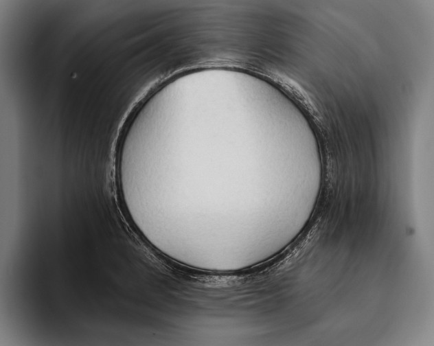 X0000093381184200711081539