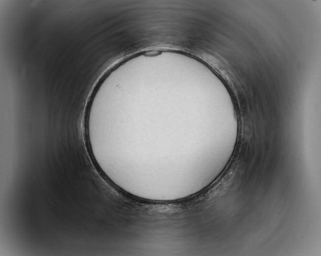 X0000093381189200711081539