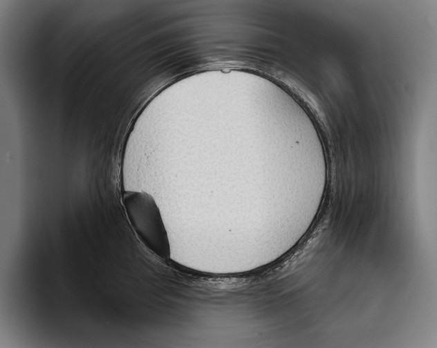 X0000093381193200711081539